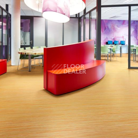 Forbo Marmoleum Decibel on Order 524135 sunshine yellow фото 2 | FLOORDEALER